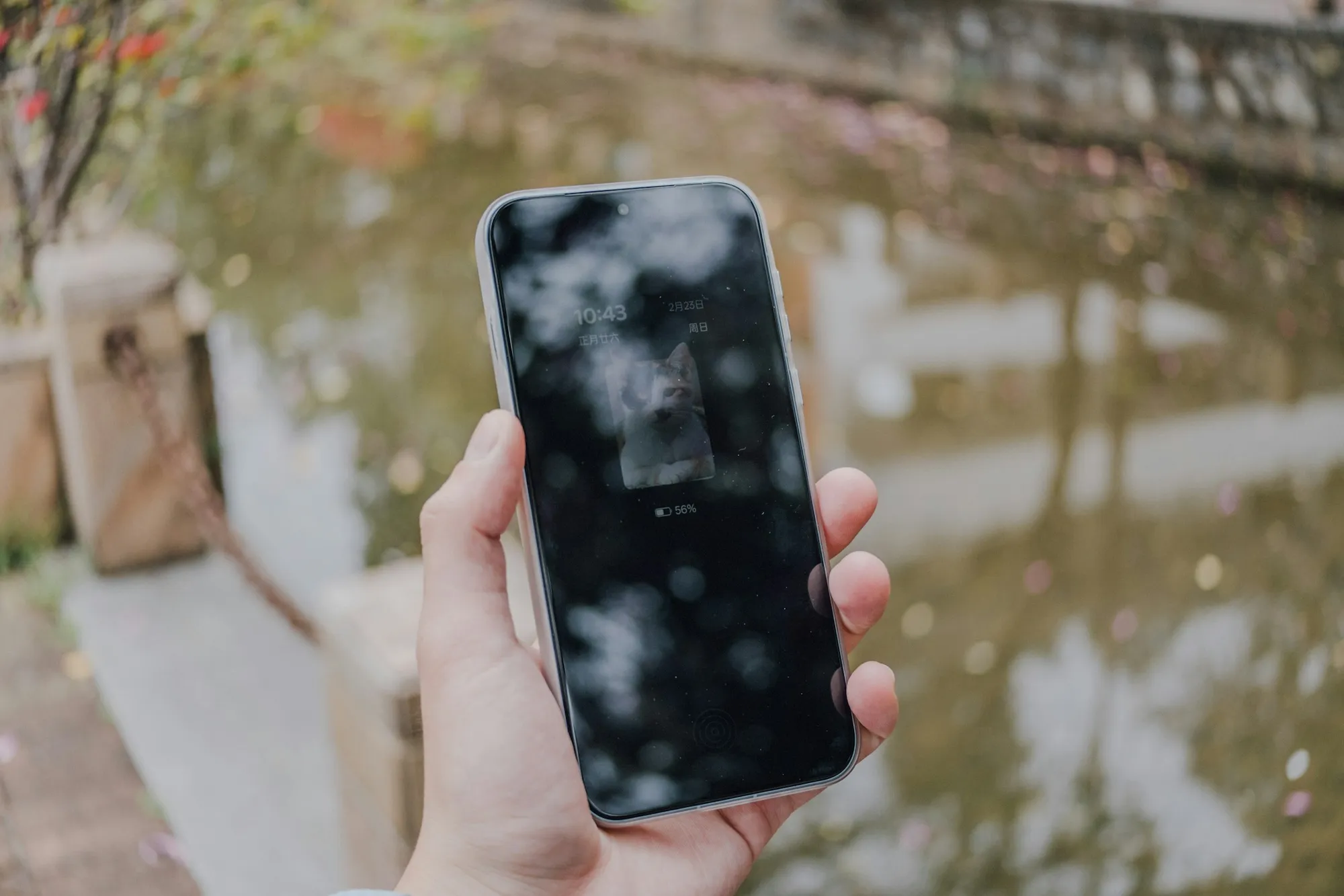 Elinde akıllı telefon tutan kişi